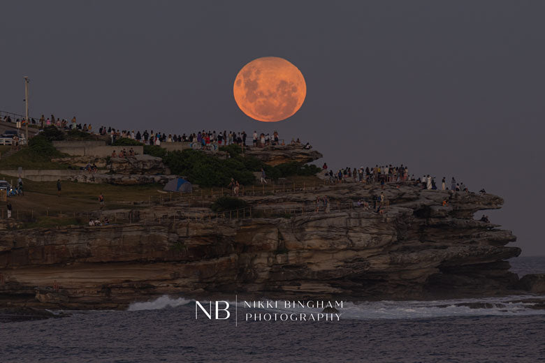 Bondi Full Moon