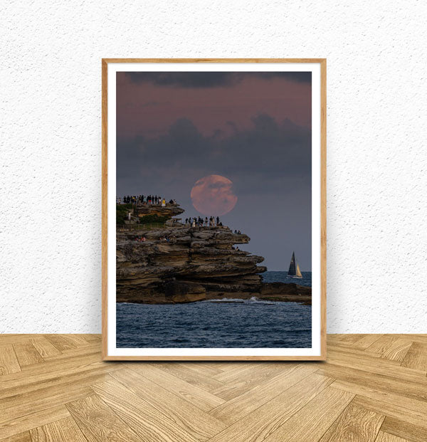 Pink Bondi Moon
