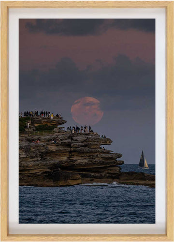 Pink Bondi Moon