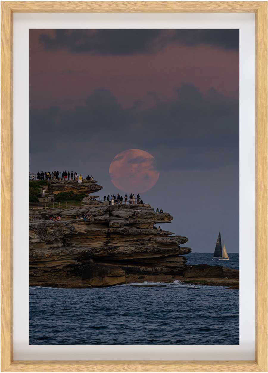 Pink Bondi Moon