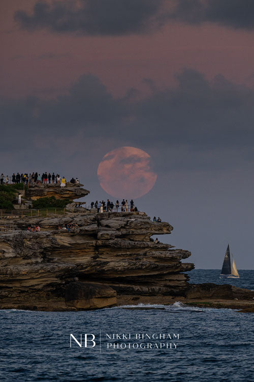 Pink Bondi Moon