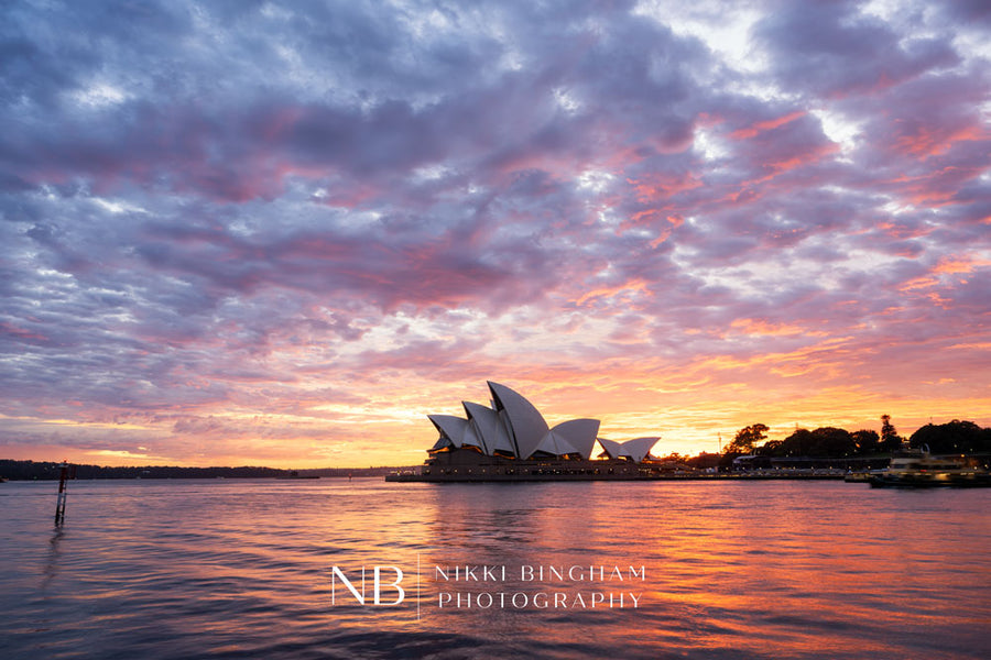 Sydney Sunrise
