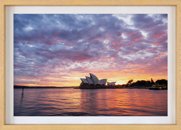 Sydney Sunrise