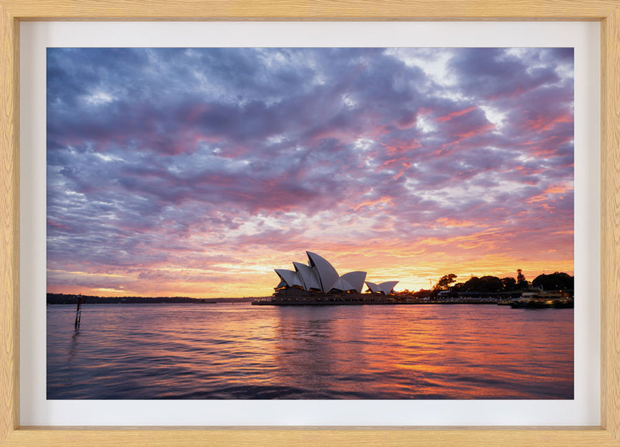 Sydney Sunrise