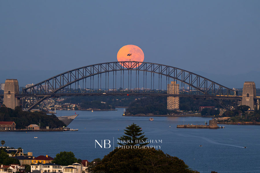 Harbour Bridge Full Moon - Limited Edition
