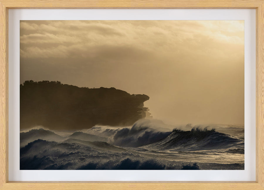 Wild Ocean