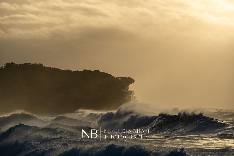 Wild Ocean