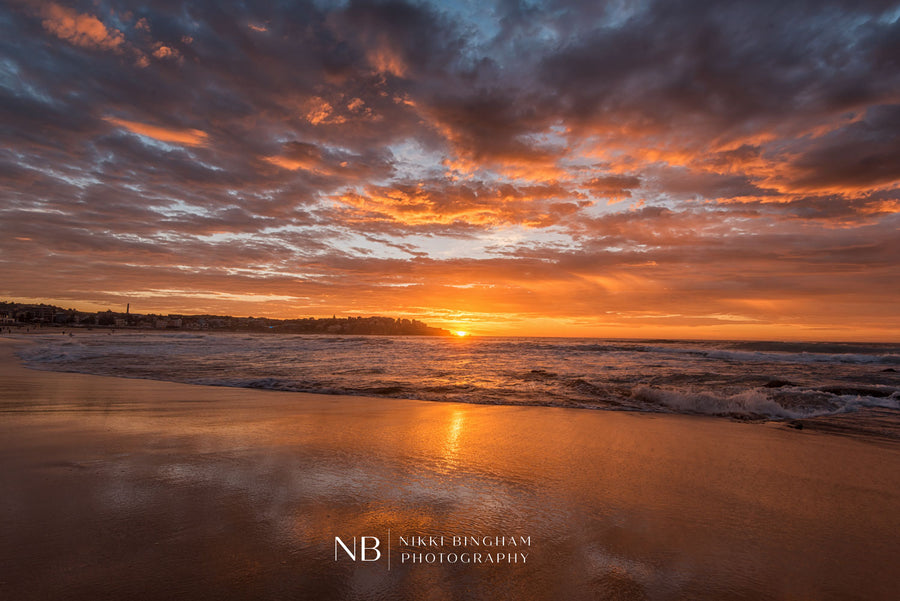 Bondi Burn