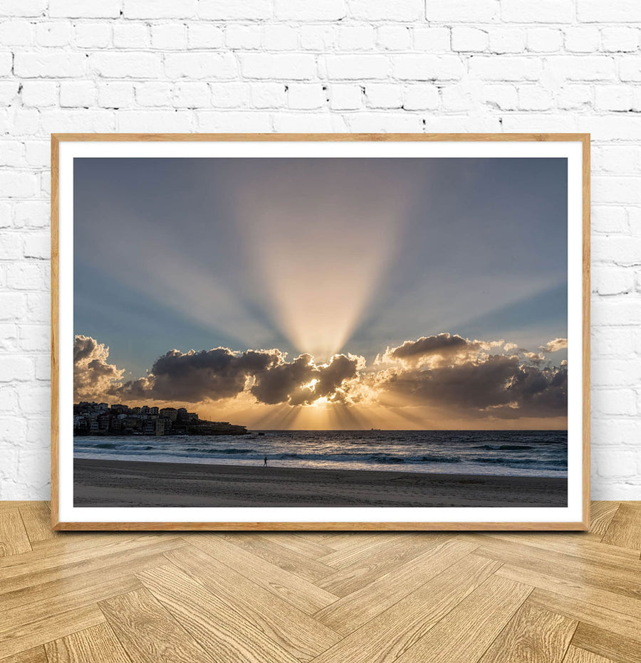 Bondi Rays