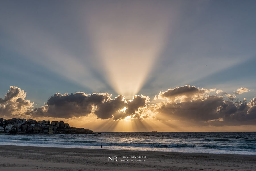Bondi Rays