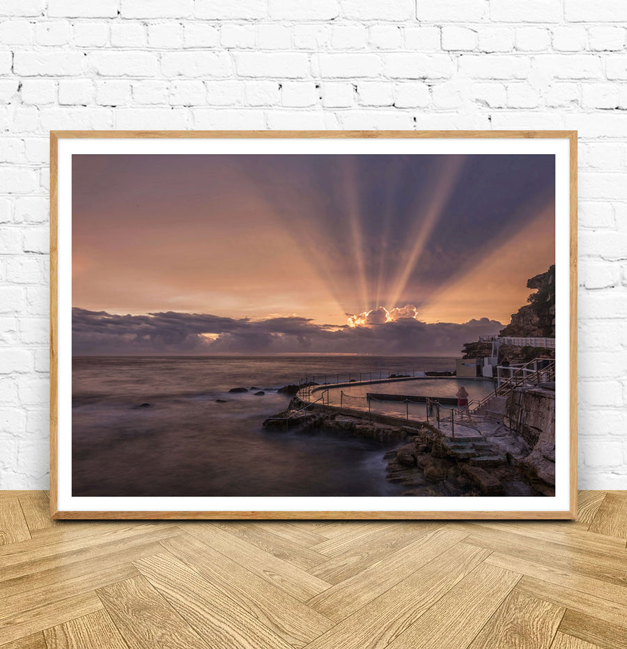 Bronte Rays