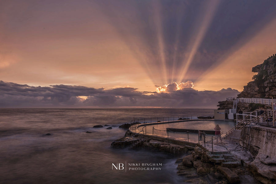 Bronte Rays