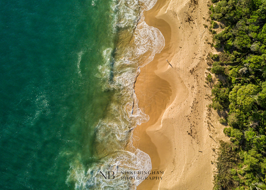 Bush to Ocean