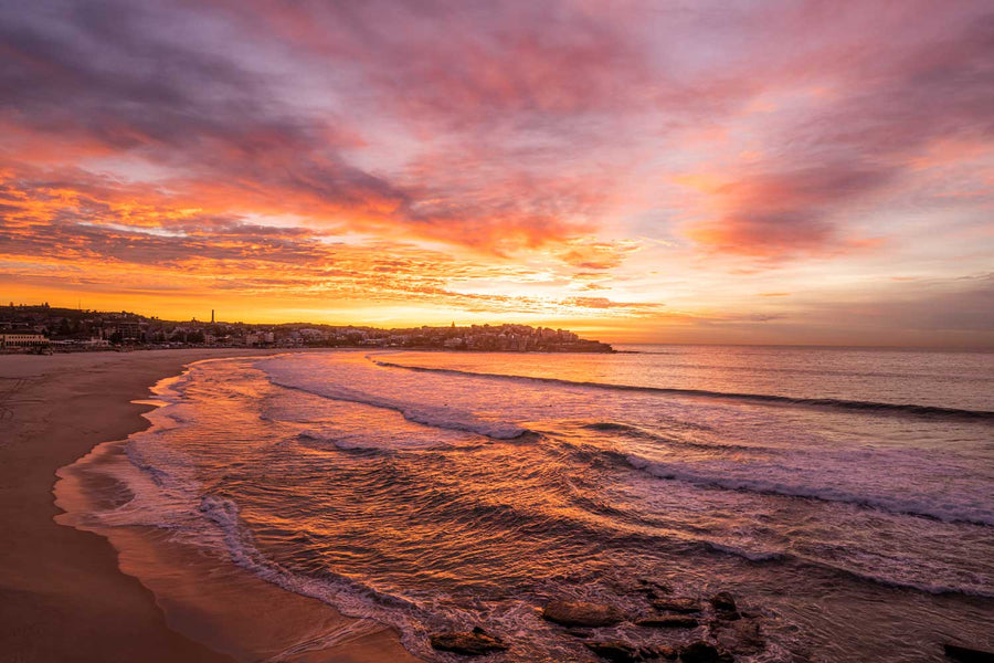 Empty Bondi