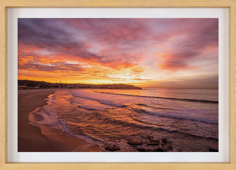 Empty Bondi