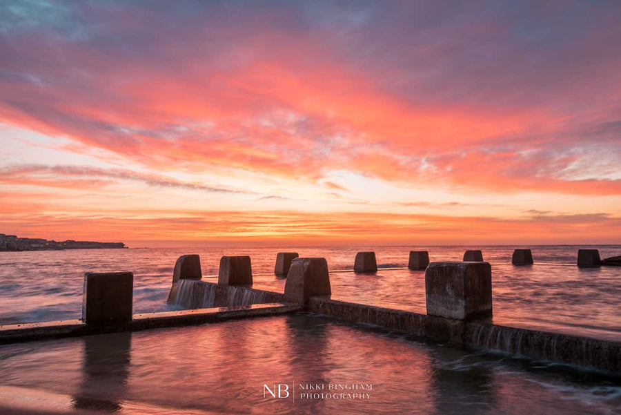 Pink Coogee