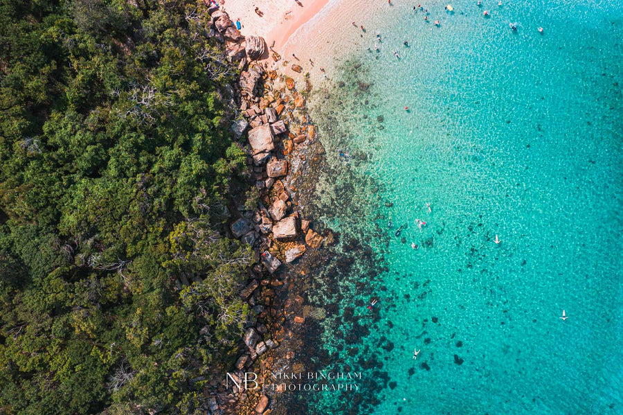 Shelly Beach Snorkel