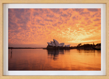 Sydney Opera House Sunrise