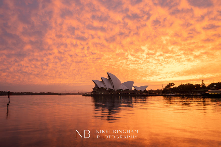 Sydney Opera House Sunrise