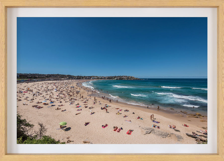 Bondi Blue