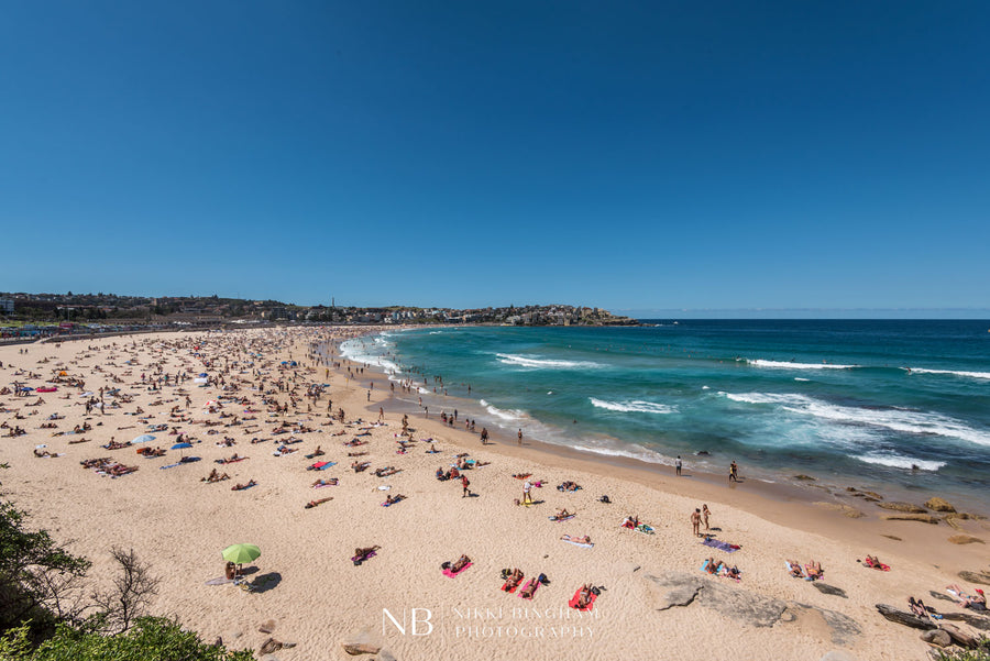 Bondi Blue