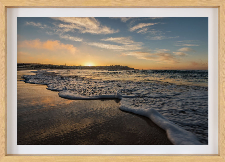 Bondi Froth