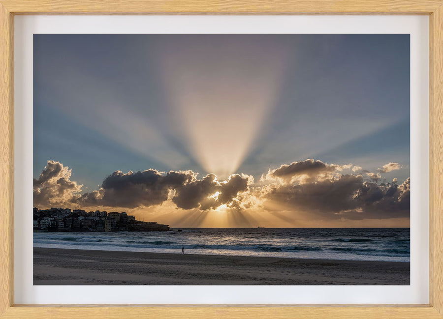 Bondi Rays