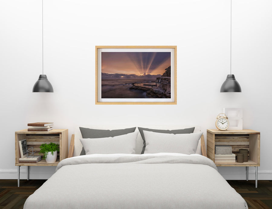Bronte Rays