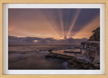 Bronte Rays