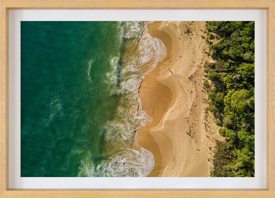 Bush to Ocean