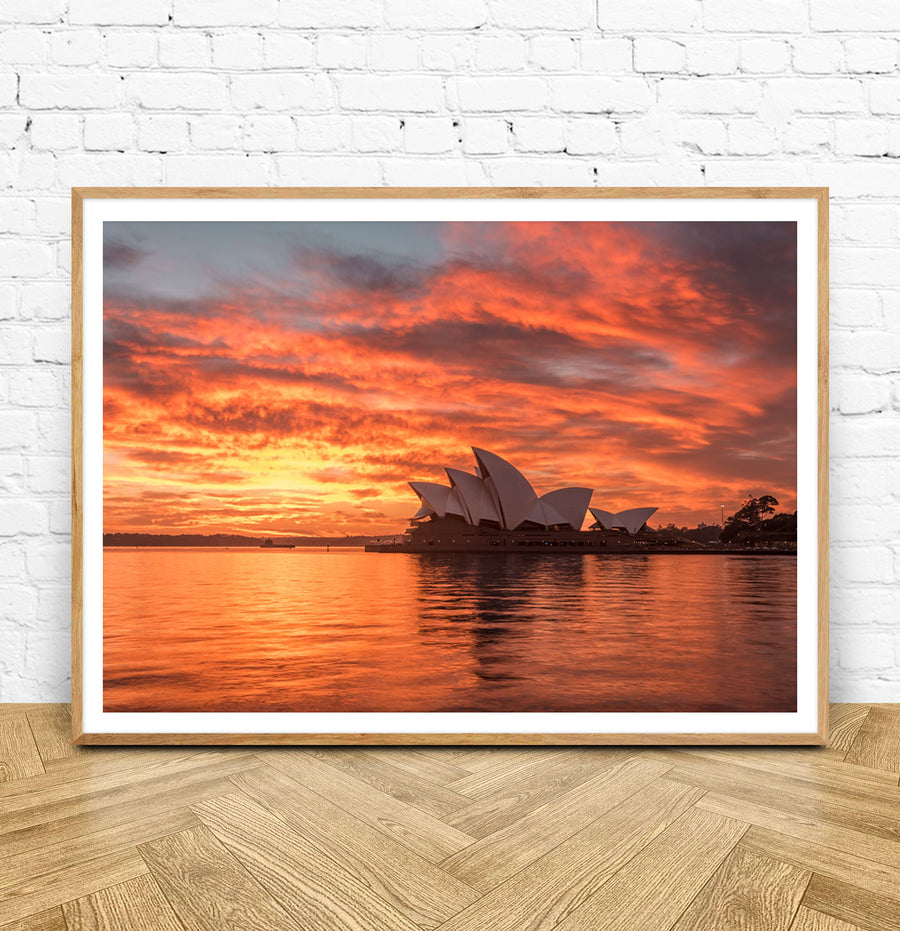 Classic Sydney Sunrise - Clearance Sale