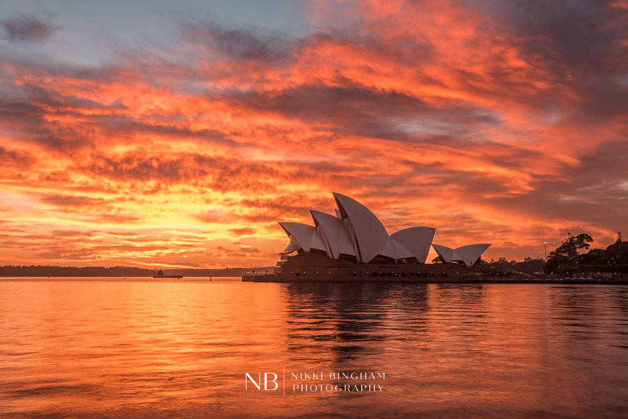 photography print sydney opera house
