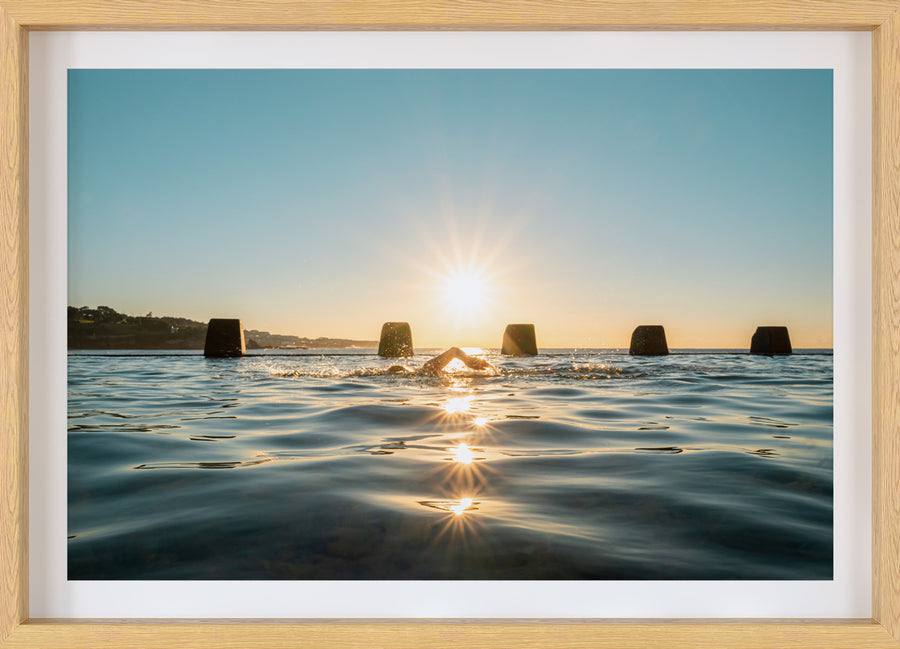 Coogee Swimmer