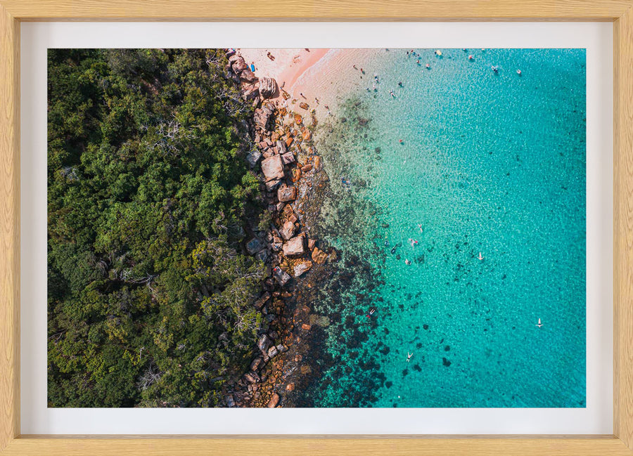 Shelly Beach Snorkel