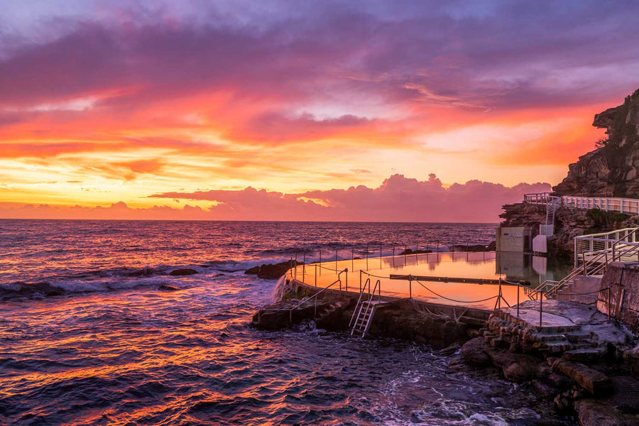 Still Bronte